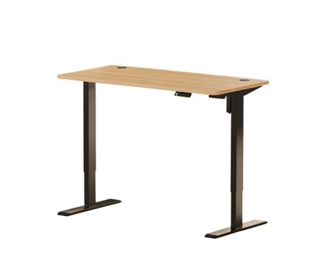 Intellidesk Eco