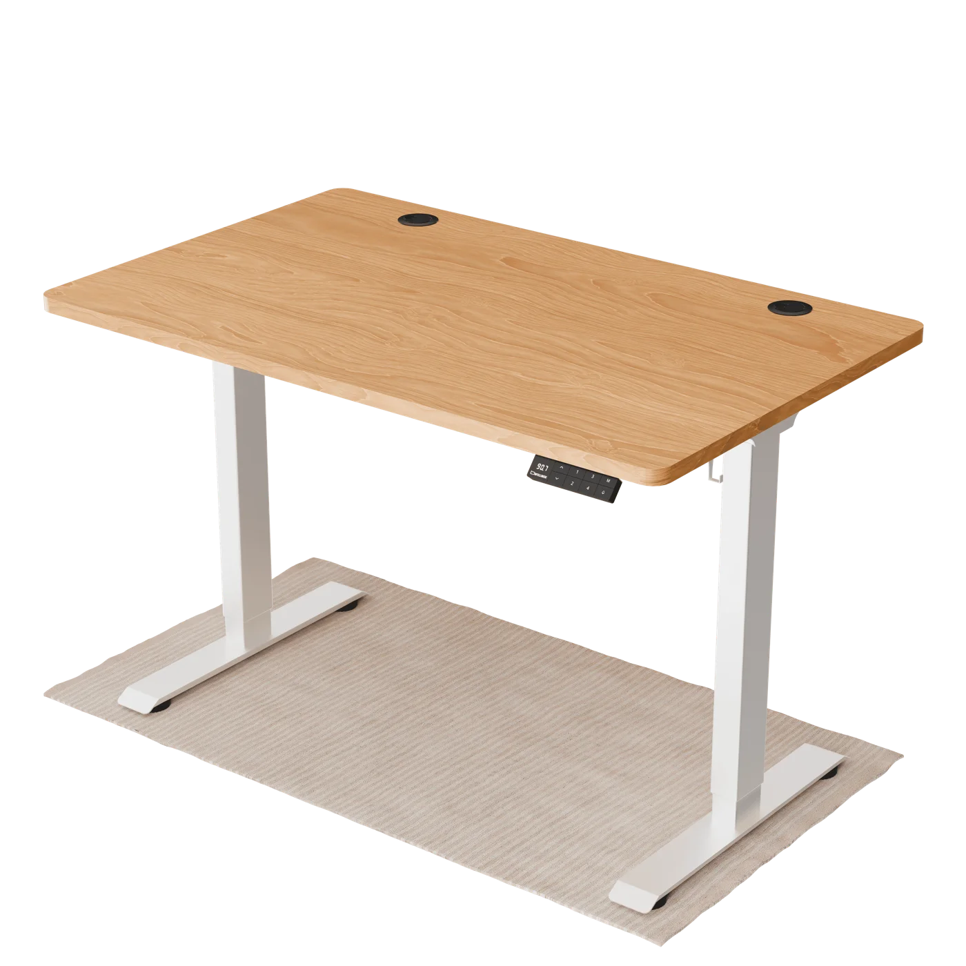 Intellidesk Eco Dual Height Adjustable Standing Desk